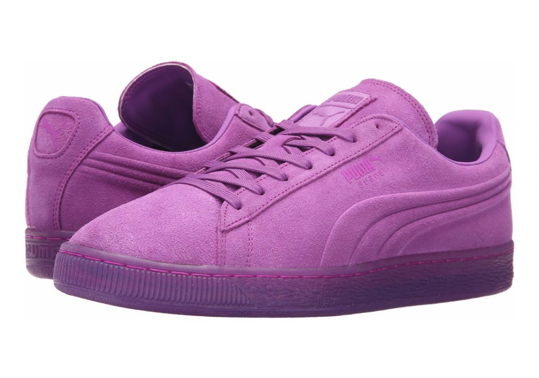 Purple Cactus Flower (36188102)