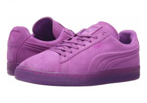 Purple Cactus Flower (36188102)