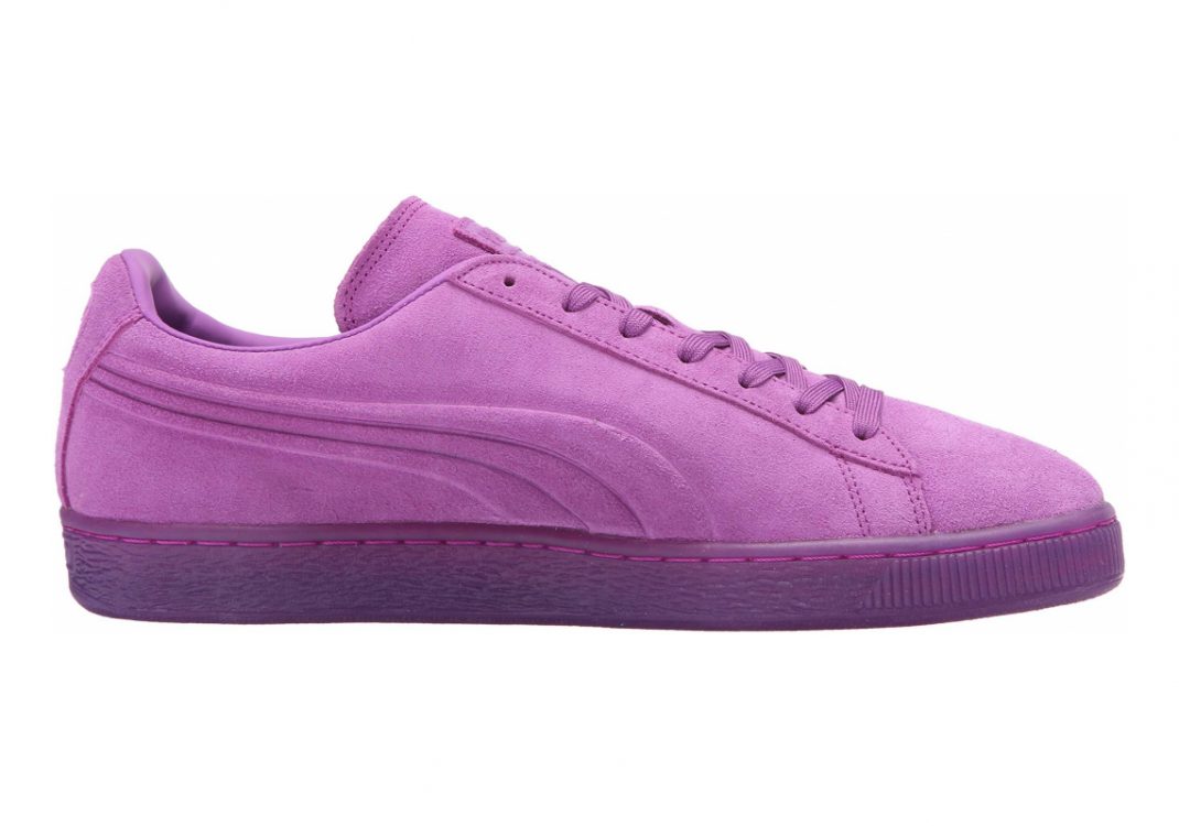 Purple Cactus Flower (36188102)