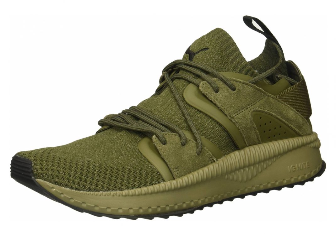 Olive Night Falcon Olive Night (36440803)