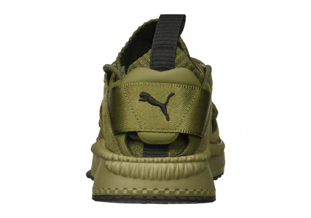 Olive Night Falcon Olive Night (36440803)