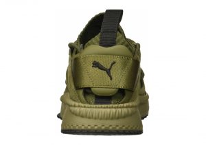 Olive Night Falcon Olive Night (36440803)