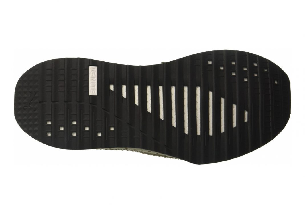 Olive Night Falcon Olive Night (36440803)