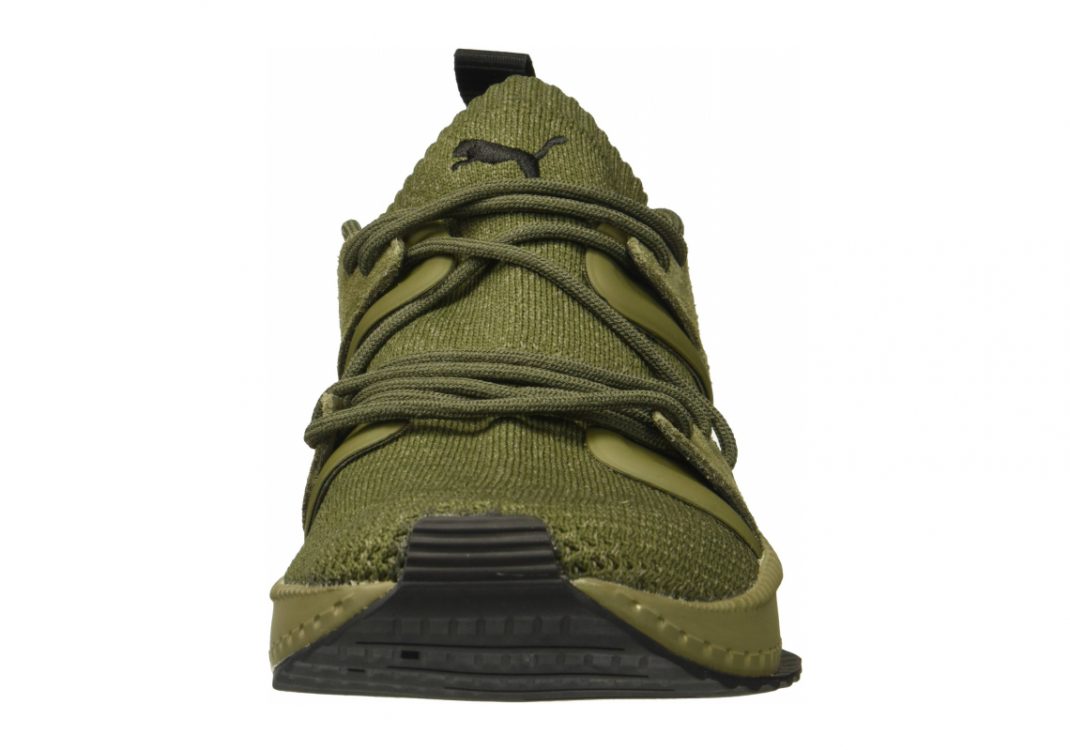 Olive Night Falcon Olive Night (36440803)