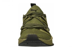 Olive Night Falcon Olive Night (36440803)