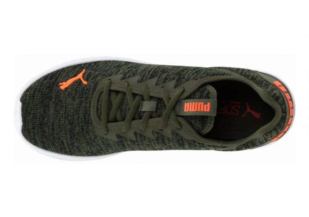 Multicolor (19184105)