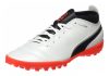 Puma One 17.4 Turf - White (10407801)