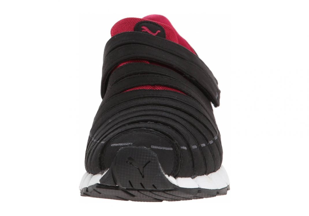 Black Darkshadow Cerise (18568628)