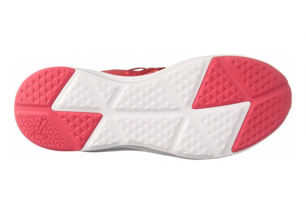 Paradise Pink-puma White (19054602)