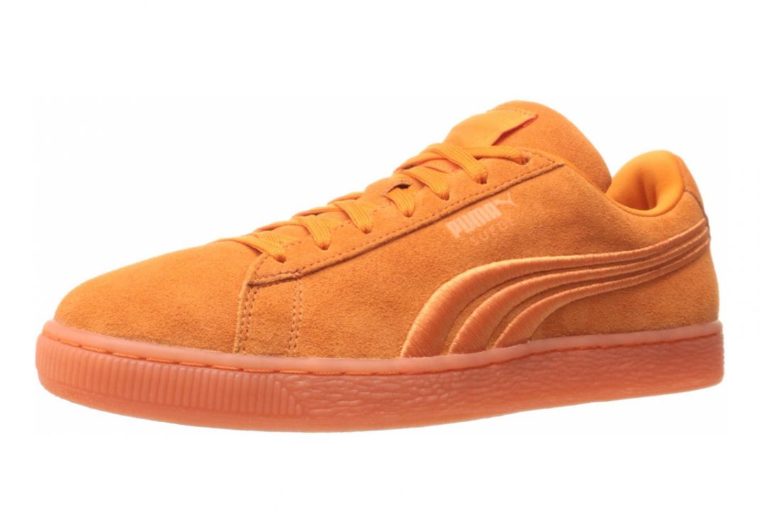 Golden Poppy (36448304)