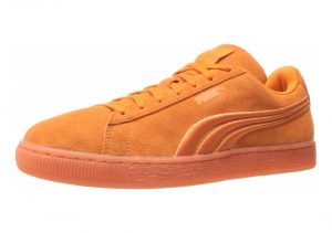 Golden Poppy (36448304)