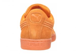 Golden Poppy (36448304)