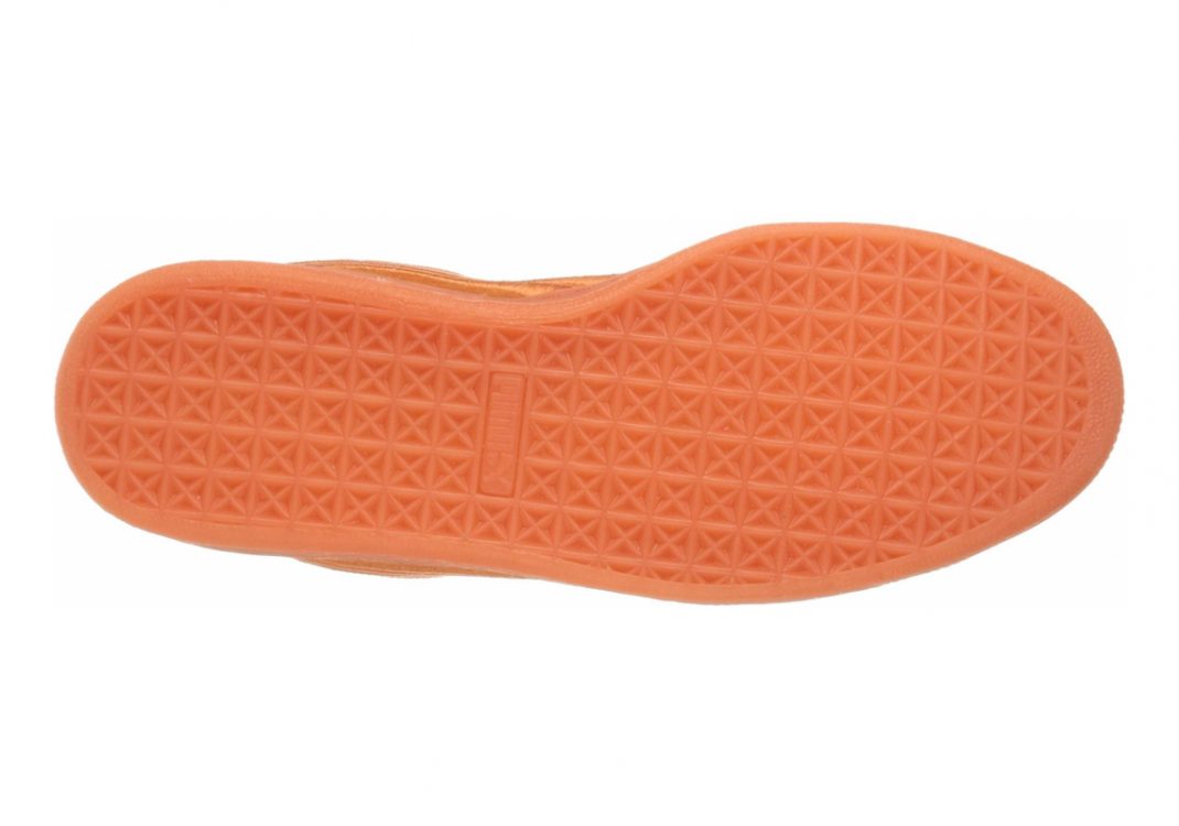 Golden Poppy (36448304)