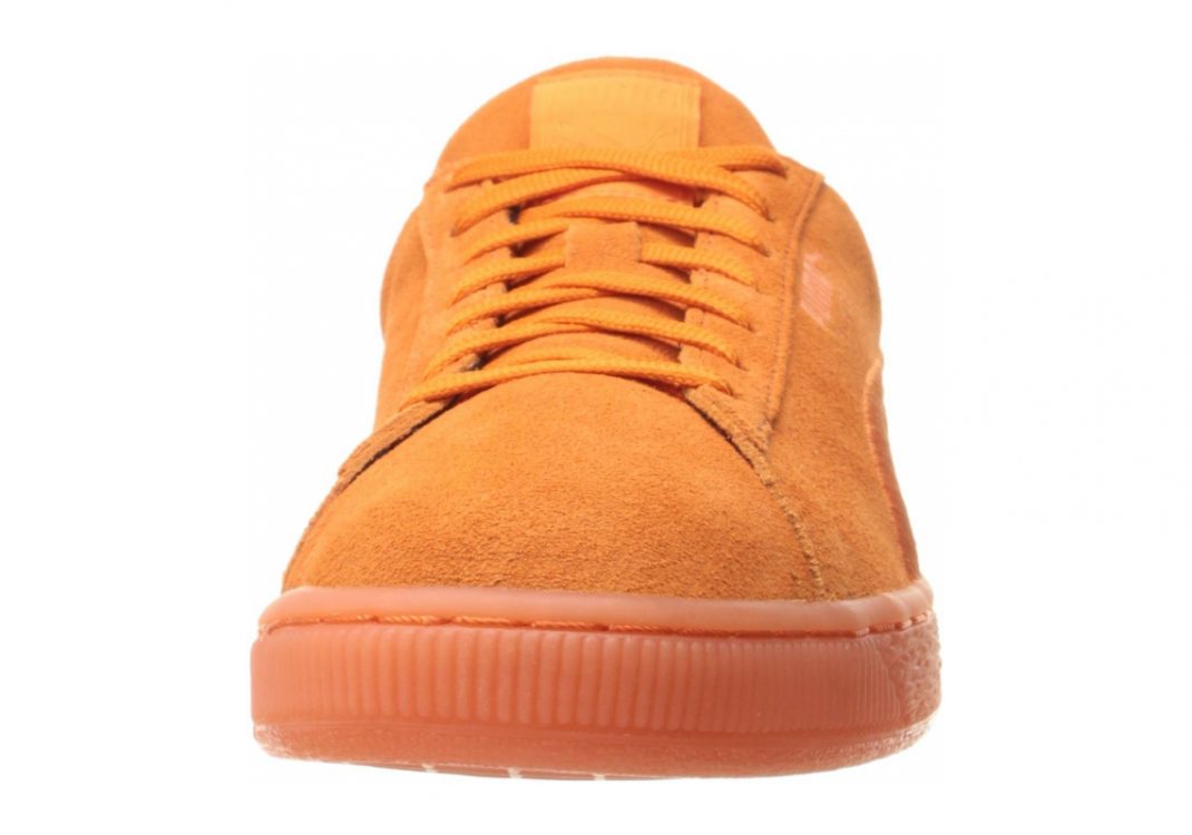 Golden Poppy (36448304)