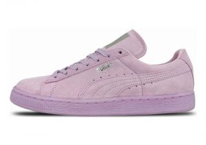 Orchid Bloom (36210101)