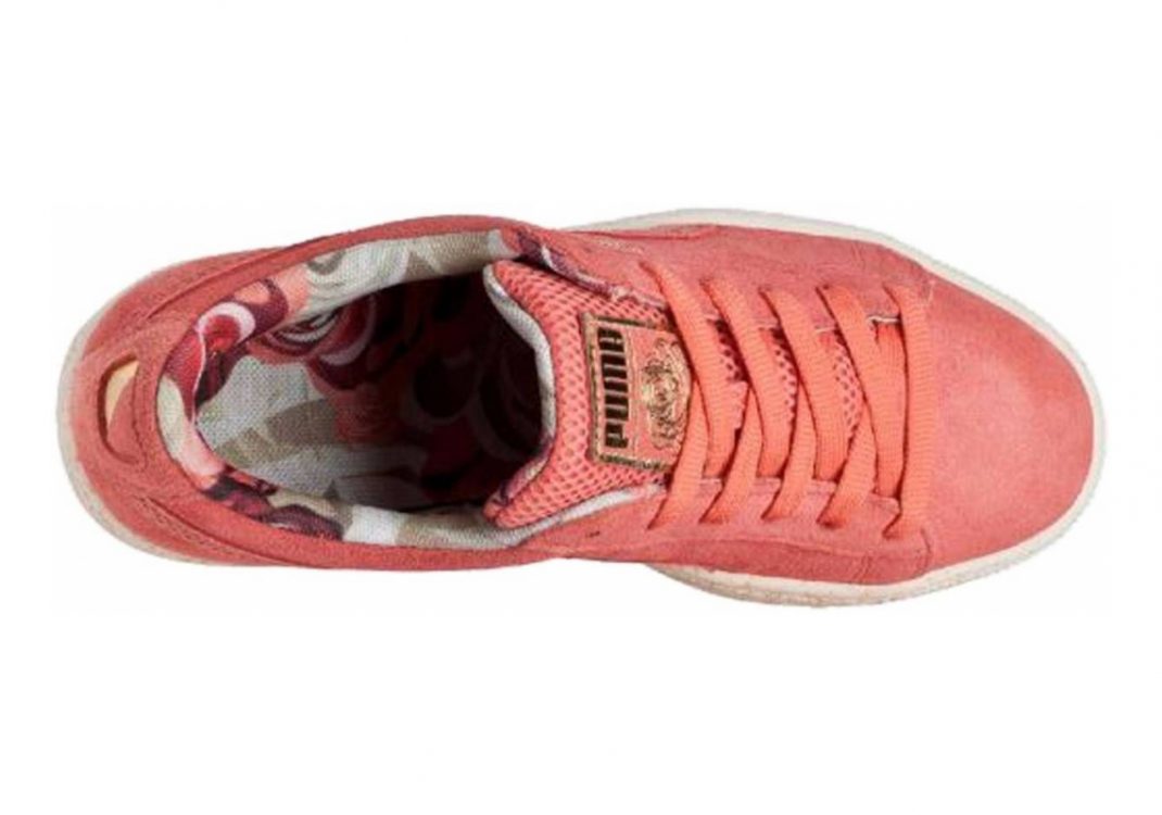 Pink Porcelain Rose Whisper White (36230701)