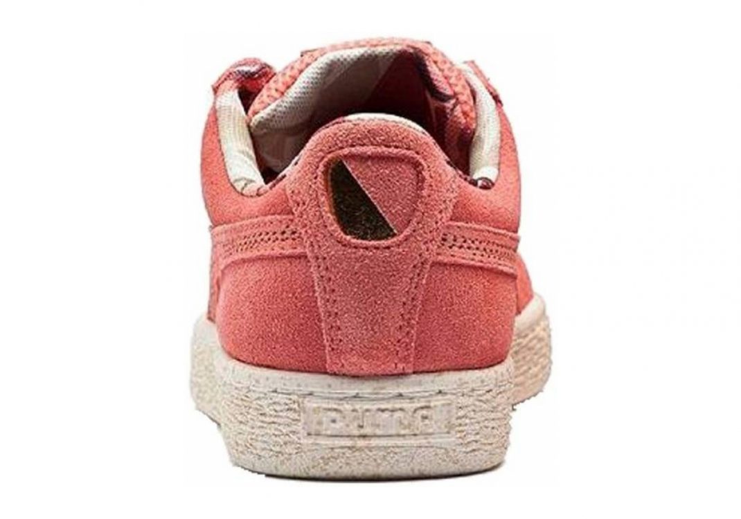 Pink Porcelain Rose Whisper White (36230701)