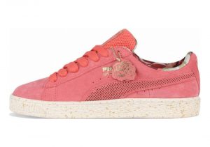 Pink Porcelain Rose Whisper White (36230701)