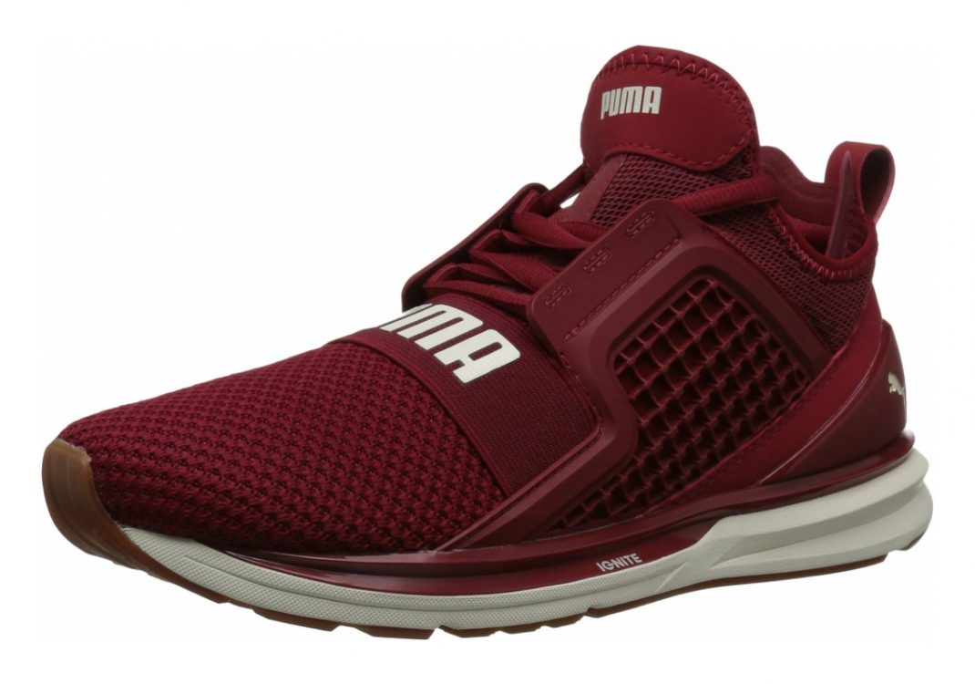 Red Dahlia-whisper White (19050402)