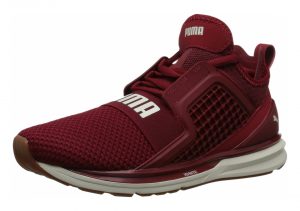 Red Dahlia-whisper White (19050402)