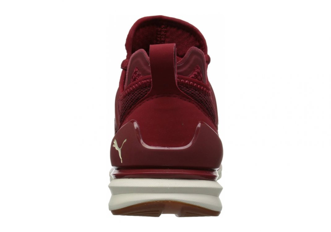 Red Dahlia-whisper White (19050402)