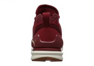 Red Dahlia-whisper White (19050402)