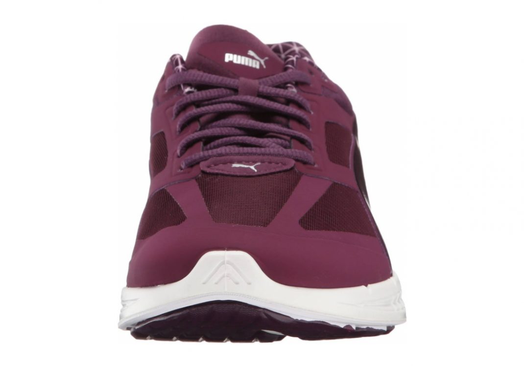 Italian Plum (18811301)