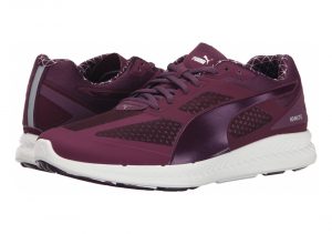 Italian Plum (18811301)