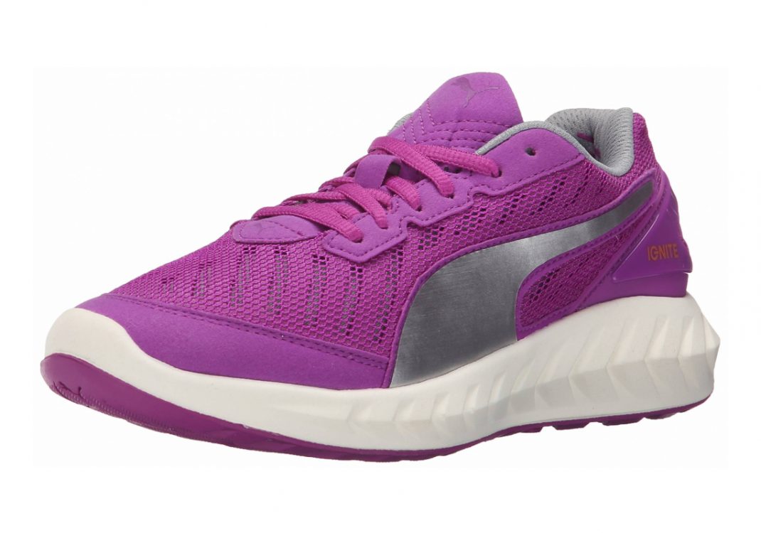 Purple Cactus Flower (18860604)