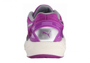 Purple Cactus Flower (18860604)