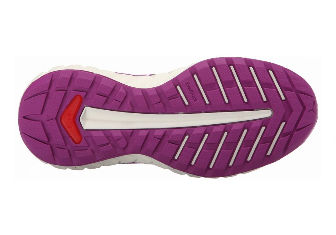 Purple Cactus Flower (18860604)