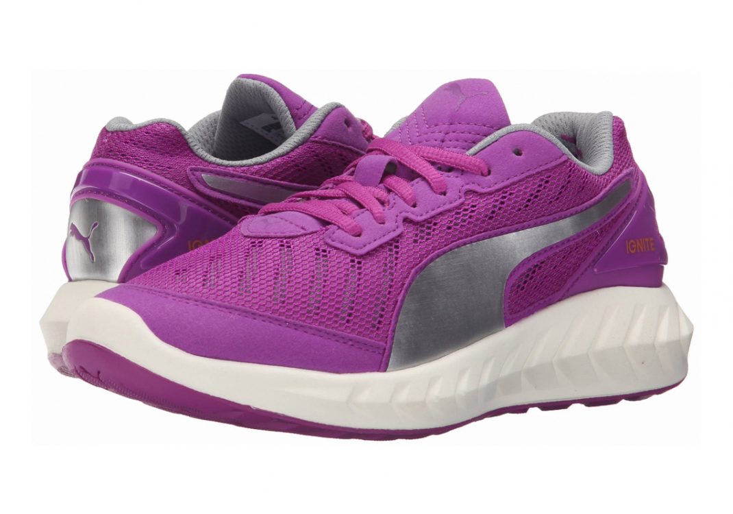 Purple Cactus Flower (18860604)