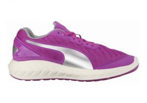 Purple Cactus Flower (18860604)