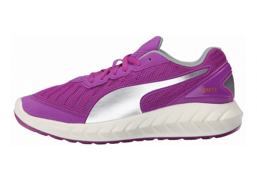 Purple Cactus Flower (18860604)