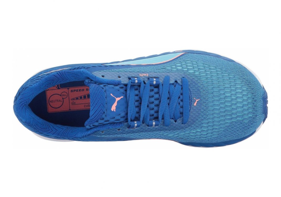 Lapis Blue Neutral Gray Turquoise (18995402)