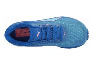 Lapis Blue Neutral Gray Turquoise (18995402)