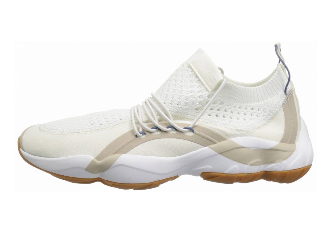 Reebok DMX Fusion - Chalk Parchment Blue Slate (CN3897)