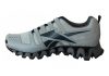 Reebok Zigwild TR 2 - Flat Grey Ash Grey (BS6150)