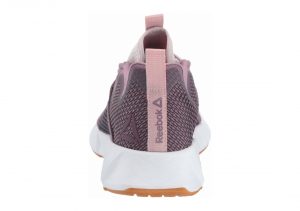 Ashen Lilac Noble Orchid White Gum Guava (CN6389)