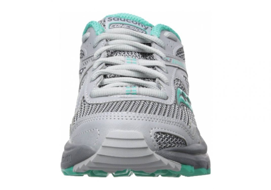 Grey Mint (S153393)