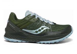 Pine / Sky (S105821)