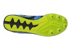 Blue Citron (S290274)