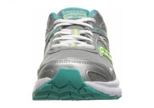 Grey Teal Ctn (S153331)