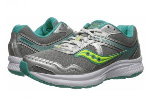 Grey Teal Ctn (S153331)