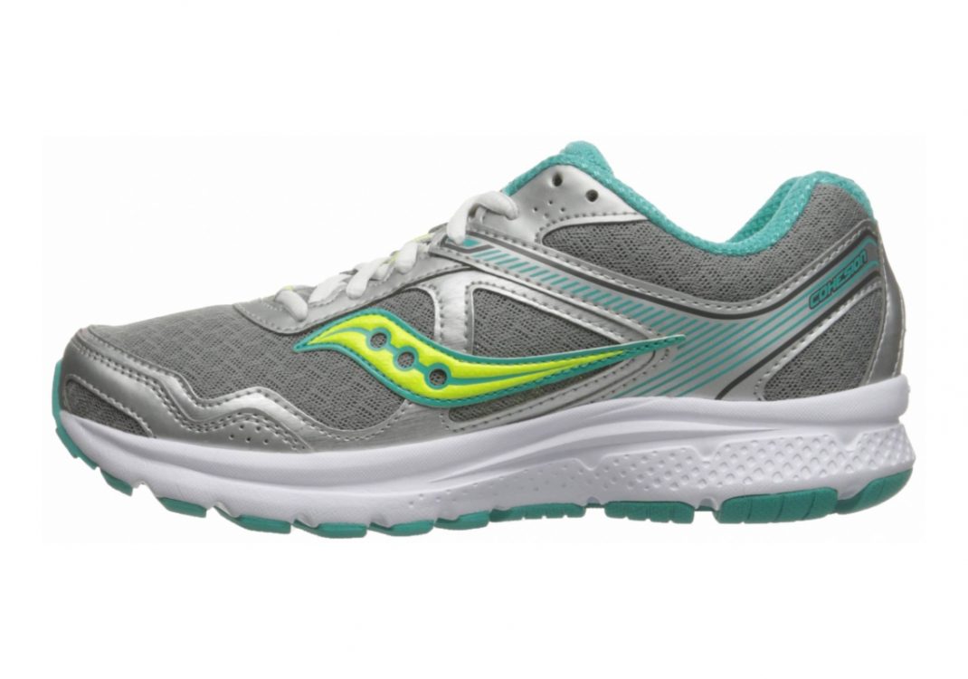 Grey Teal Ctn (S153331)