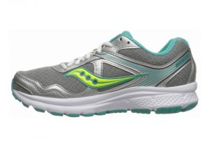 Grey Teal Ctn (S153331)