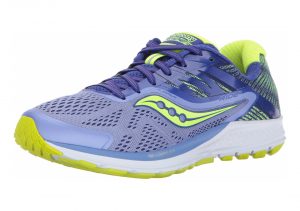 Purple/Blue/Citron (S103731)