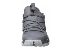 Jordan Trainer Pro - Gris Cool Grey Pure Platinum Pure Platinum (AA1344004)