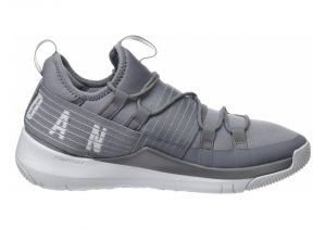 Jordan Trainer Pro - Gris Cool Grey Pure Platinum Pure Platinum (AA1344004)