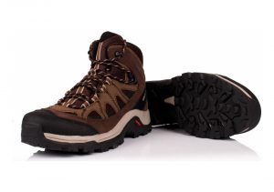Salomon Authentic LTR GTX - Brown (L394668)